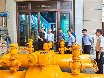 Vice Mayor of Wenzhou